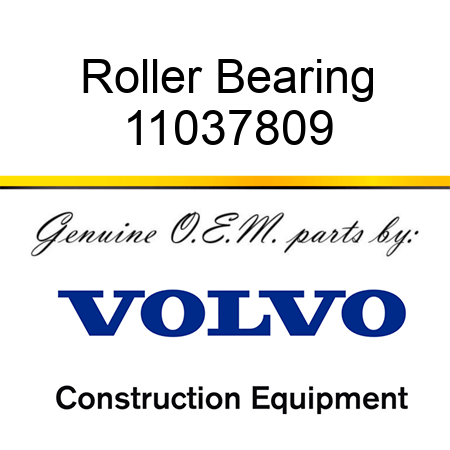 Roller Bearing 11037809