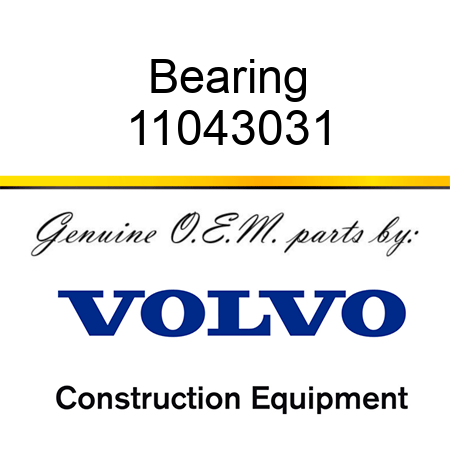 Bearing 11043031