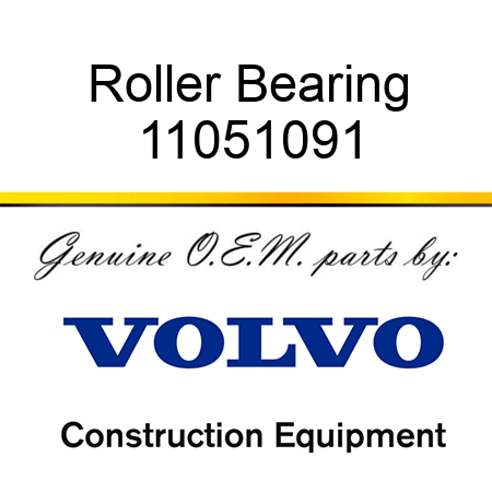 Roller Bearing 11051091