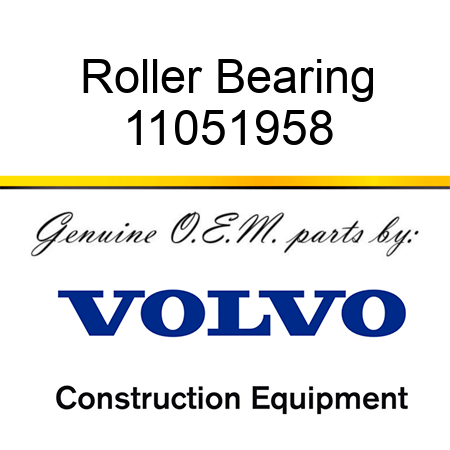 Roller Bearing 11051958