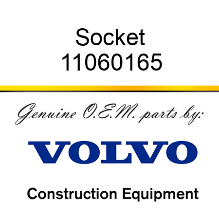 Socket 11060165