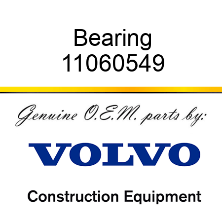 Bearing 11060549