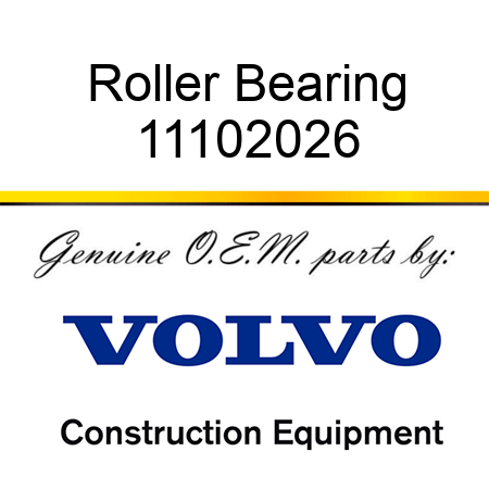 Roller Bearing 11102026