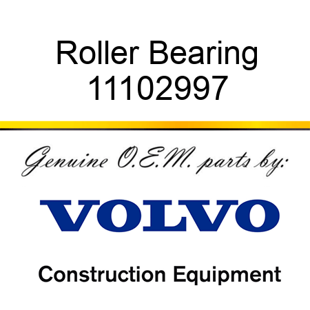 Roller Bearing 11102997