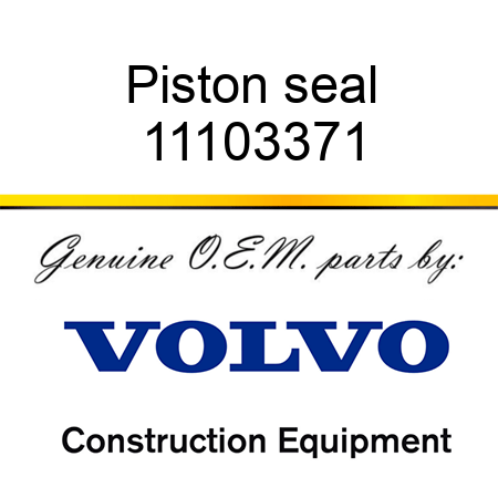 Piston seal 11103371