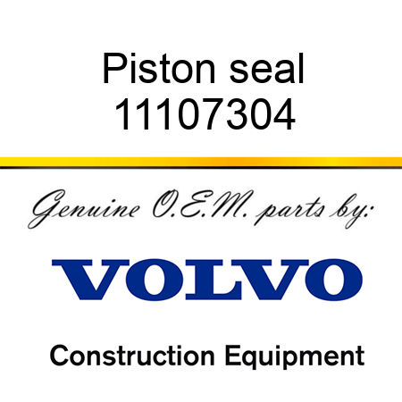 Piston seal 11107304