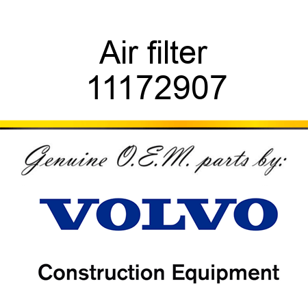 Air filter 11172907