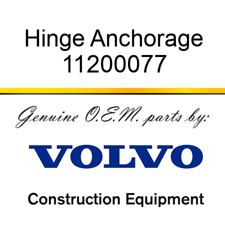 Hinge Anchorage 11200077