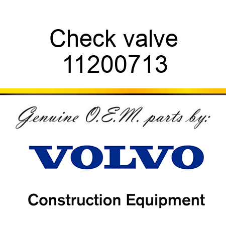 Check valve 11200713