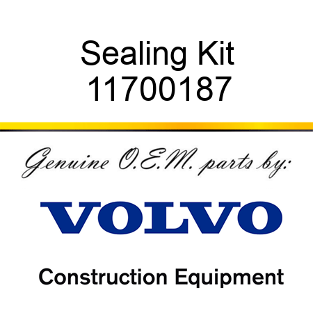 Sealing Kit 11700187