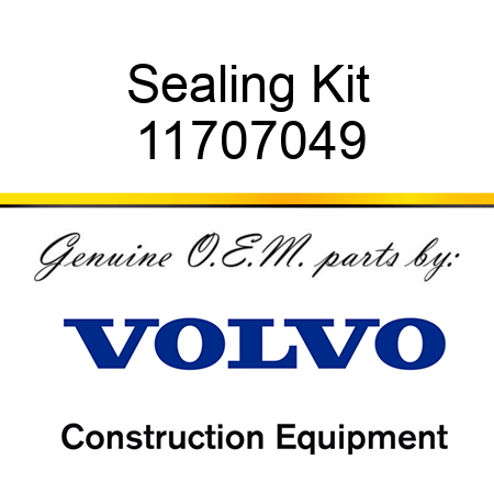 Sealing Kit 11707049