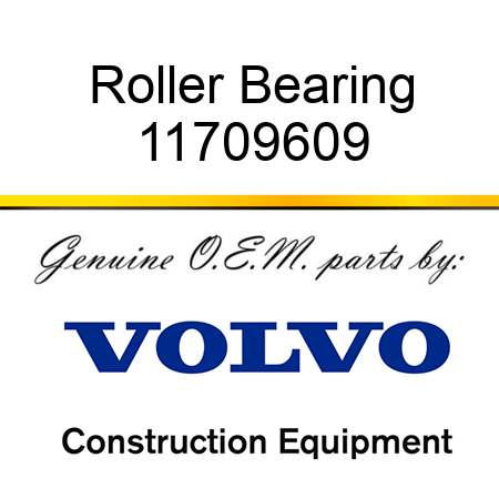 Roller Bearing 11709609