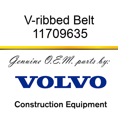 V-ribbed Belt 11709635