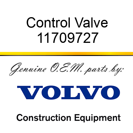 Control Valve 11709727