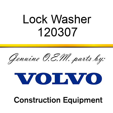 Lock Washer 120307