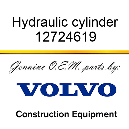 Hydraulic cylinder 12724619